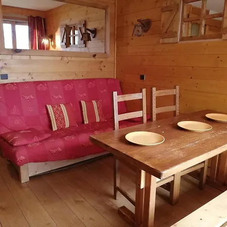 Ski-in/out, Proche Esf Et Commerces, Animaux Acceptes - Fr-1-356-530